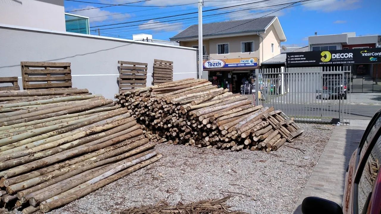 Escoras de eucalipto 