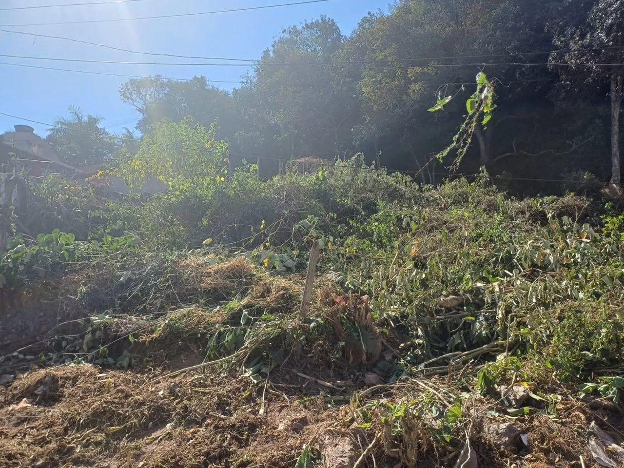 Terreno com área verde em local tranquilo - Foto 3