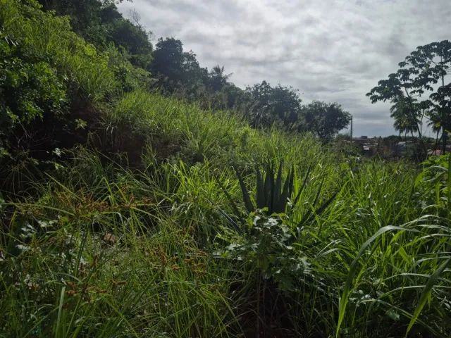 TERRENO NO CENTRO PRÓXIMO A IGREJINHA - Foto 2