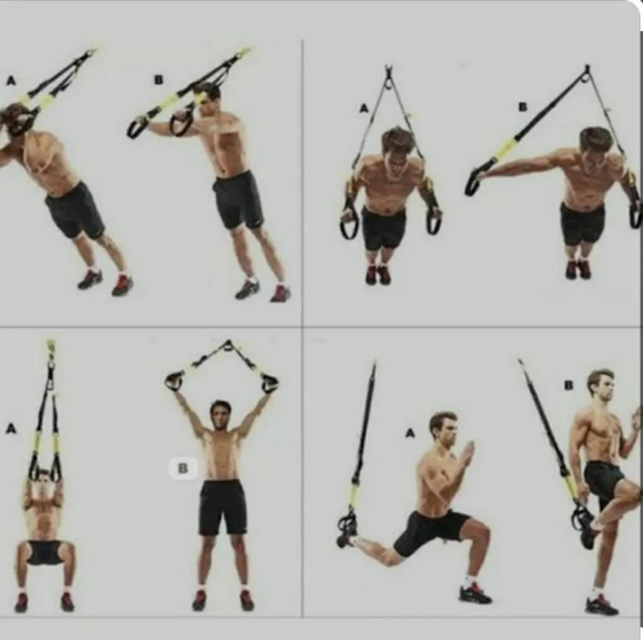 Fita de suspensão trx 
