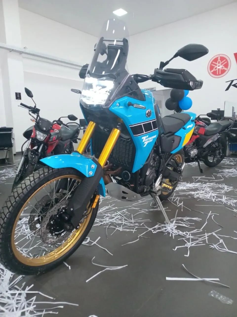 TÉNÉRÉ 700 