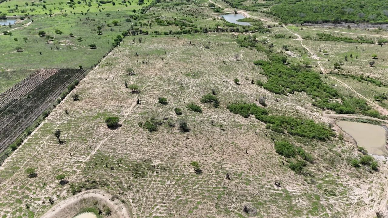 Fazenda  - Foto 4