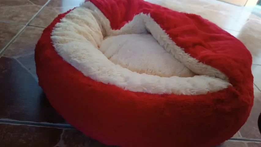 Cama para pet  - Foto 2