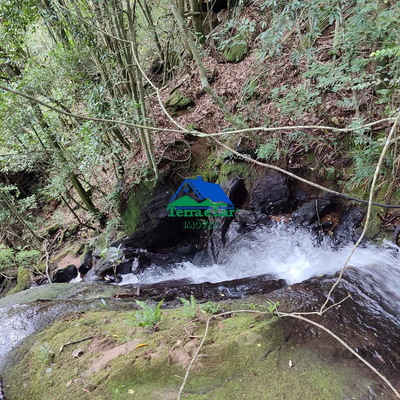 Sítio à venda em Carvalhos, MG - Foto 2