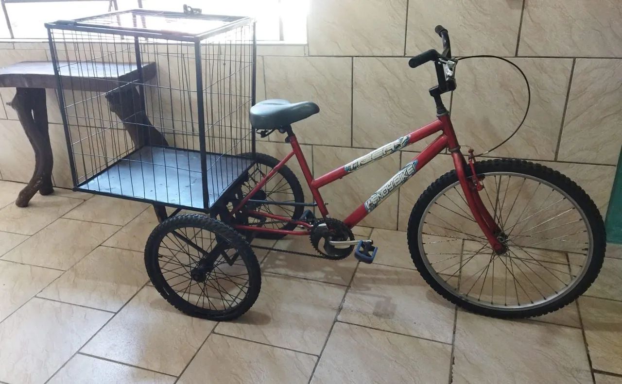 Triciclo de carga Aro26