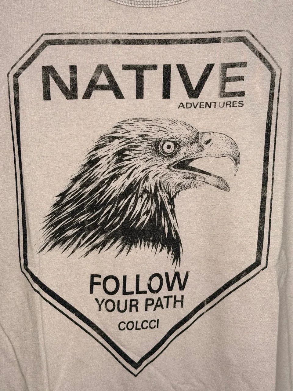 camiseta colcci cinza g - Foto 2