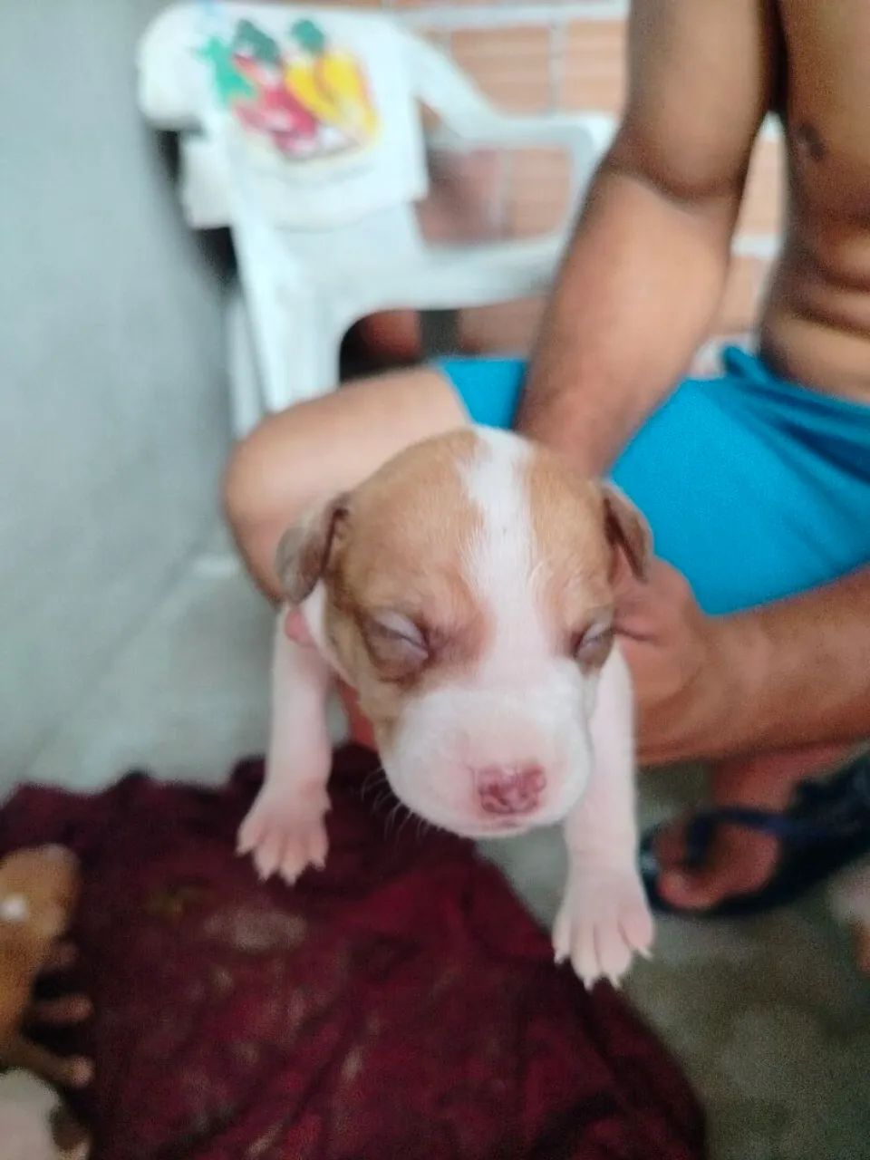Pete's Pit monster - Foto 5