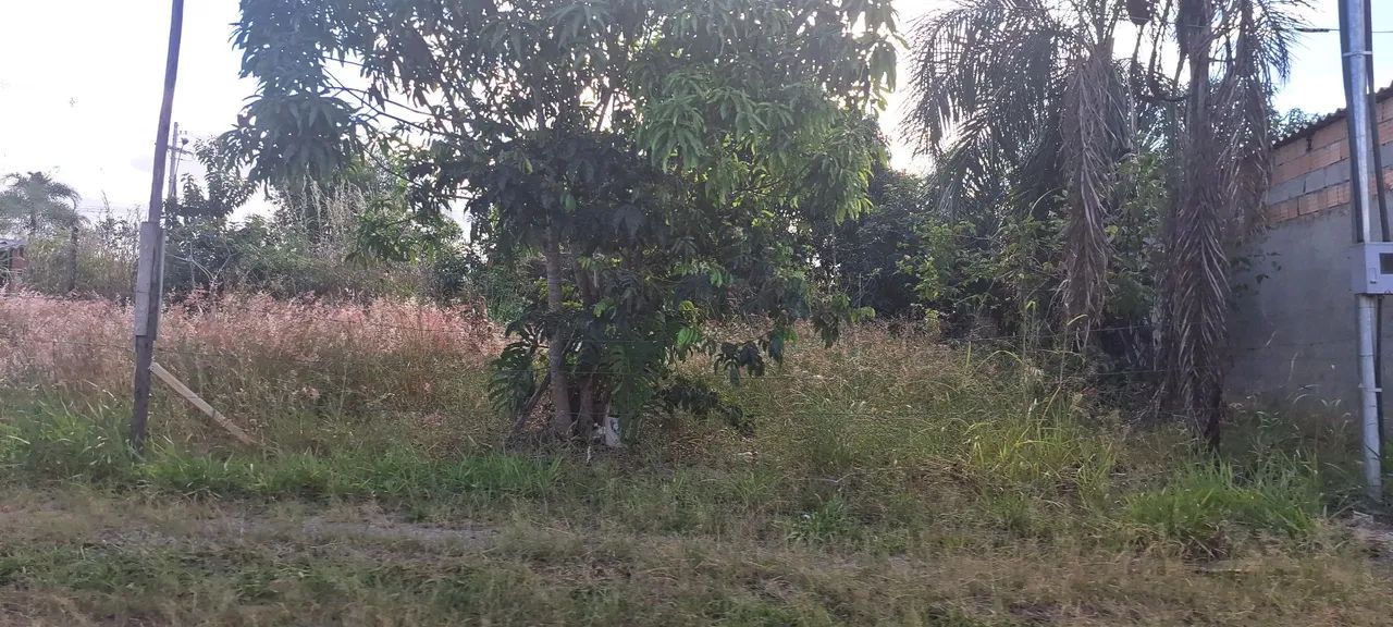 Vendo lote no Sobradinho dos Melos - Foto 2