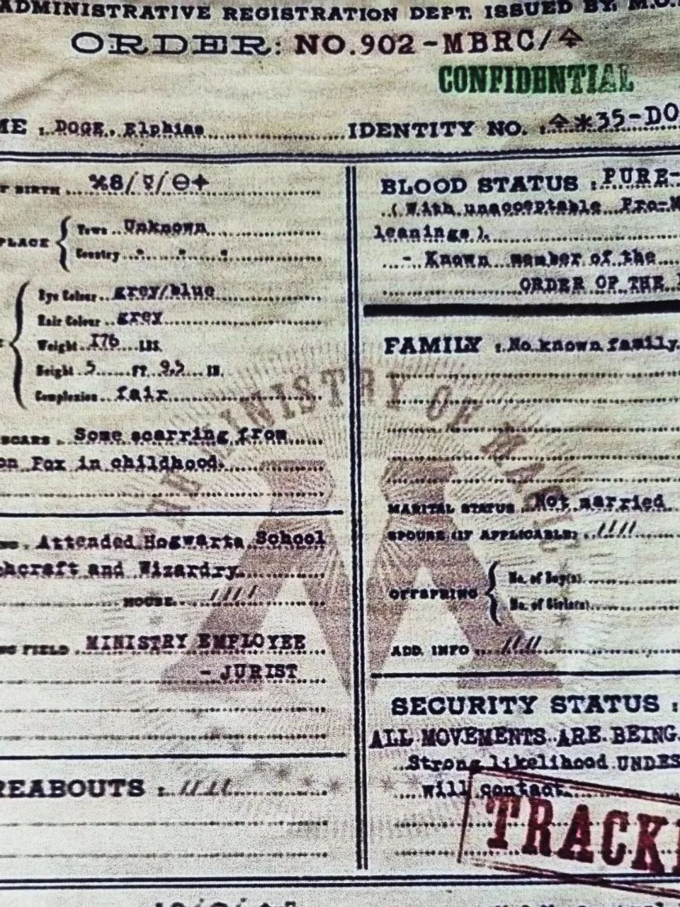 Registro de muggle-born  - Foto 6
