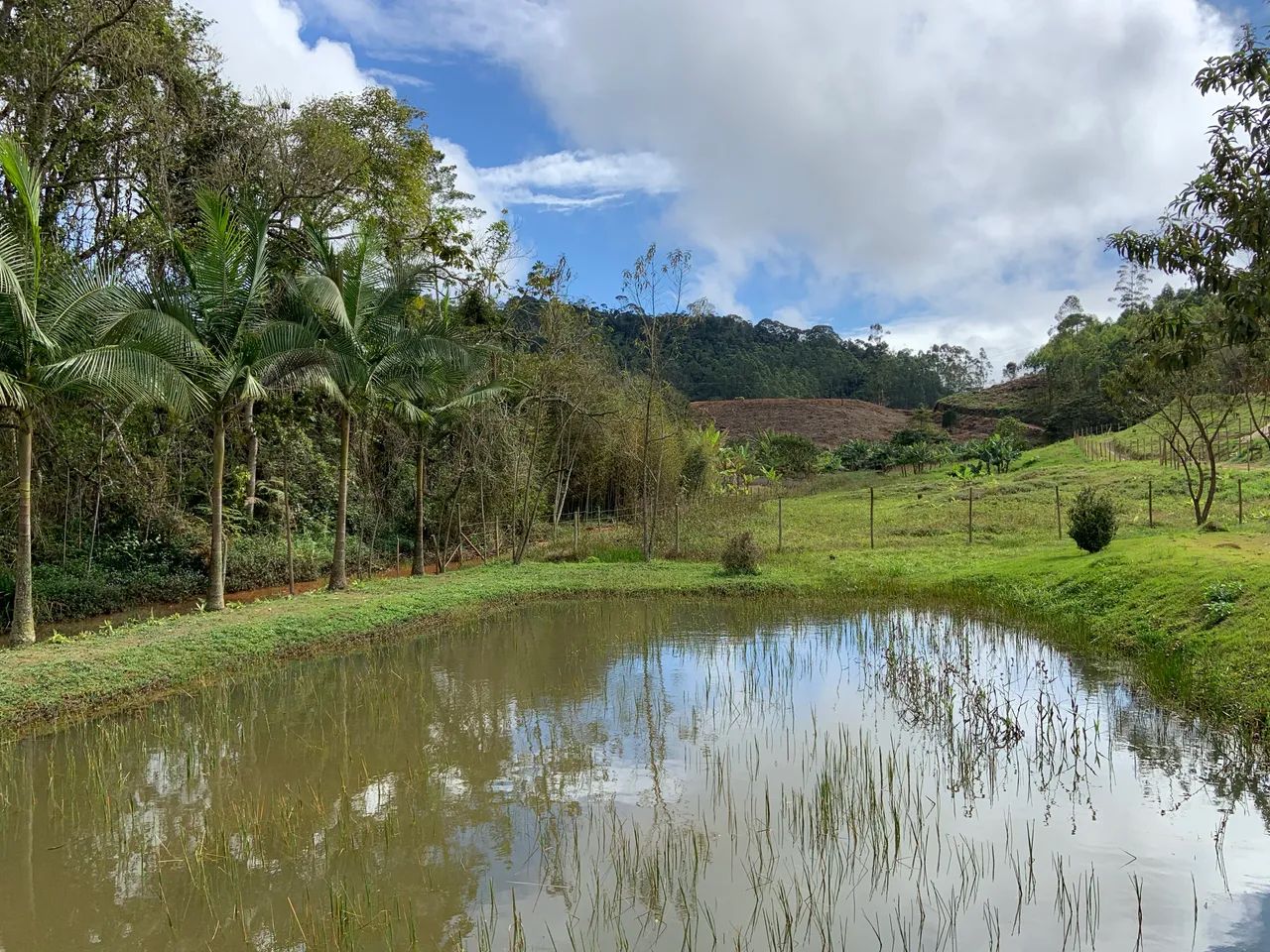 Sítio em Santa Teresa-ES - Foto 3