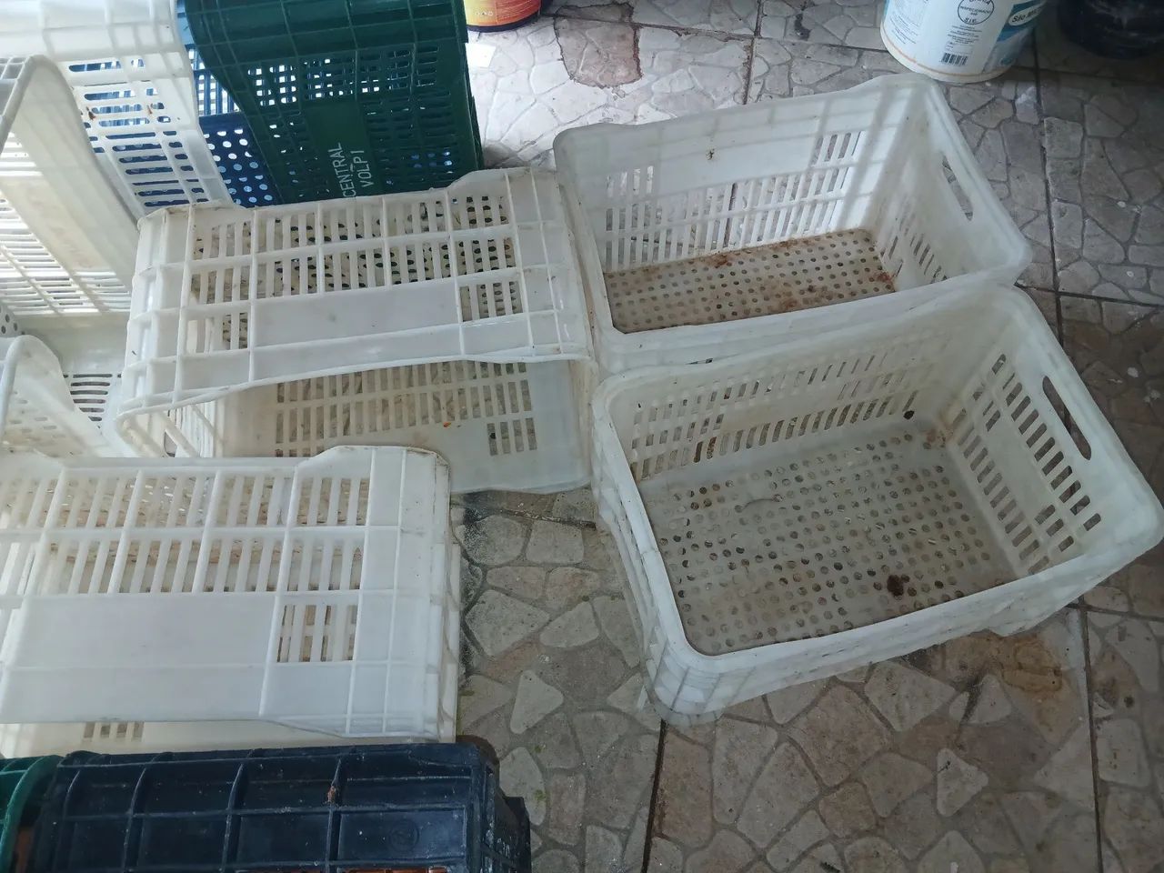 Caixa de verduras plástica 