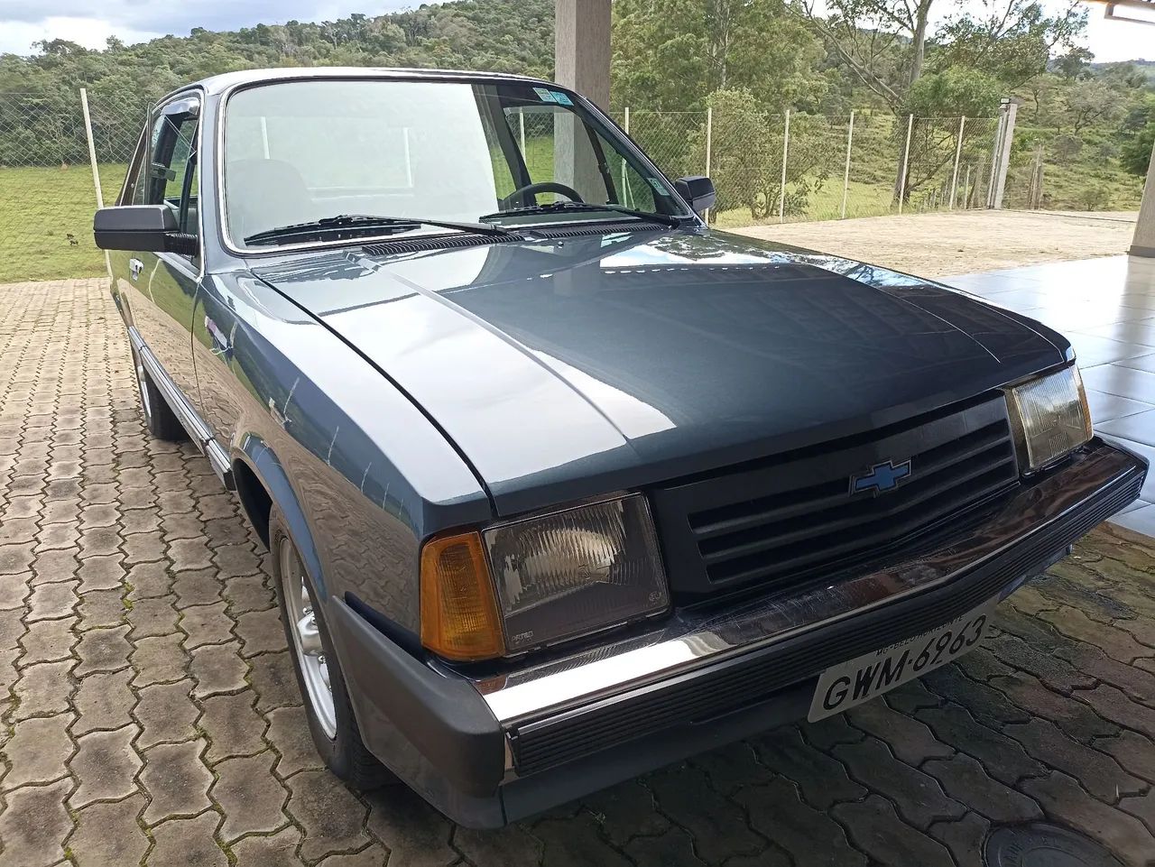 Chevrolet Chevette L / SL / Sl/e / DL / SE 1.6 1983