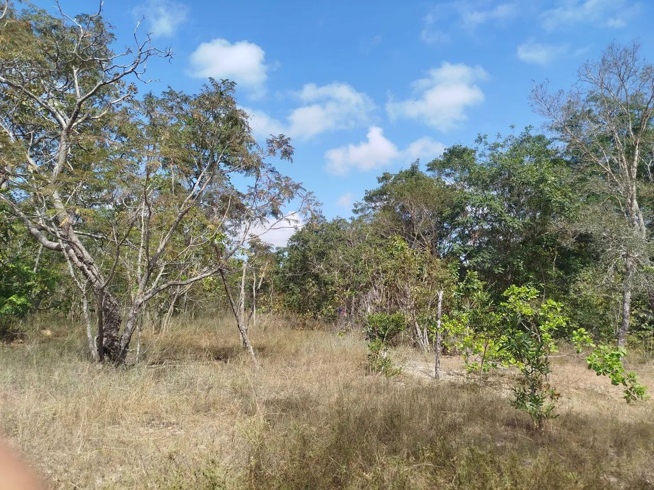 Terreno a venda - Foto 2