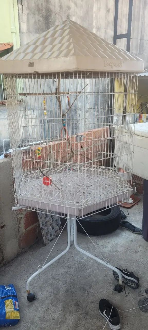 Cage for Macaw and Cockatiel