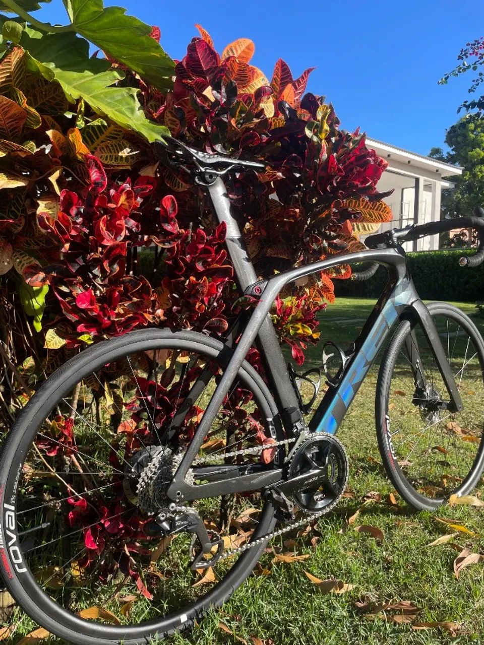 Trek Speed Madone - Foto 4
