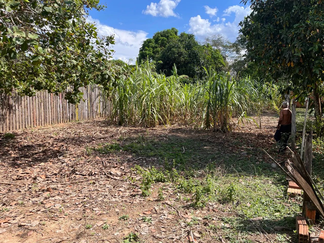 Terreno no ramal da castanheira  - Foto 3