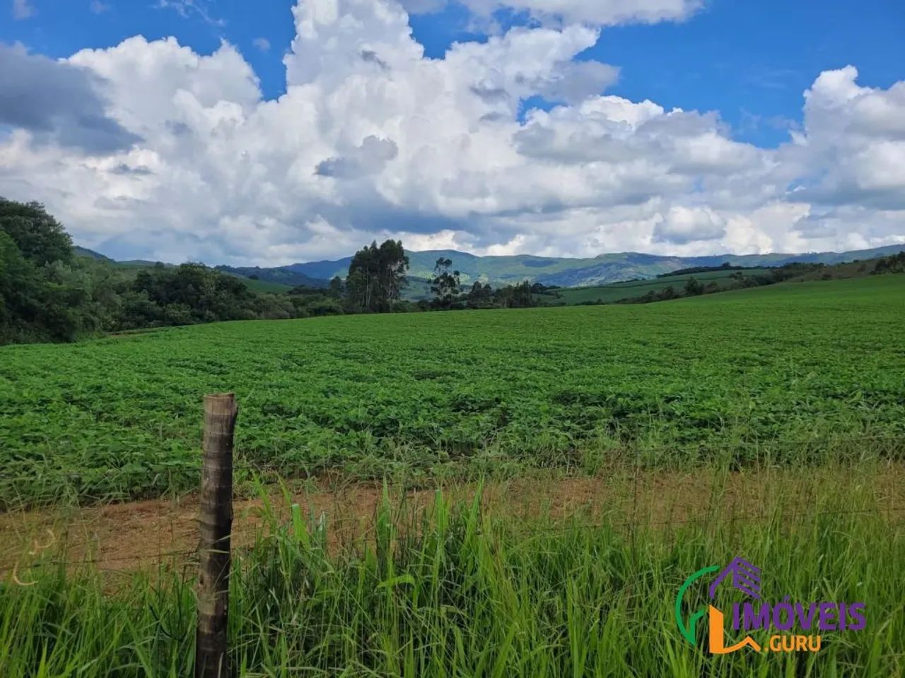 FAZENDA - CENTRO - MG - Foto 5