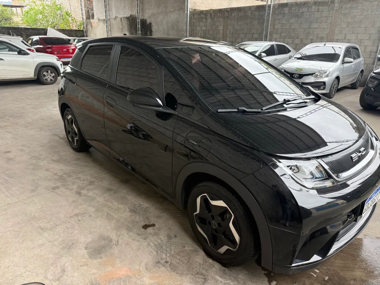 BYD Dolphin EV (Elétrico) 2024 - Foto 2