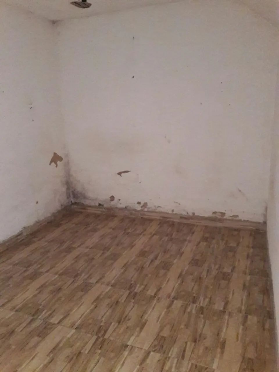 Casa com 1º andar no Rosane Collor - Foto 4