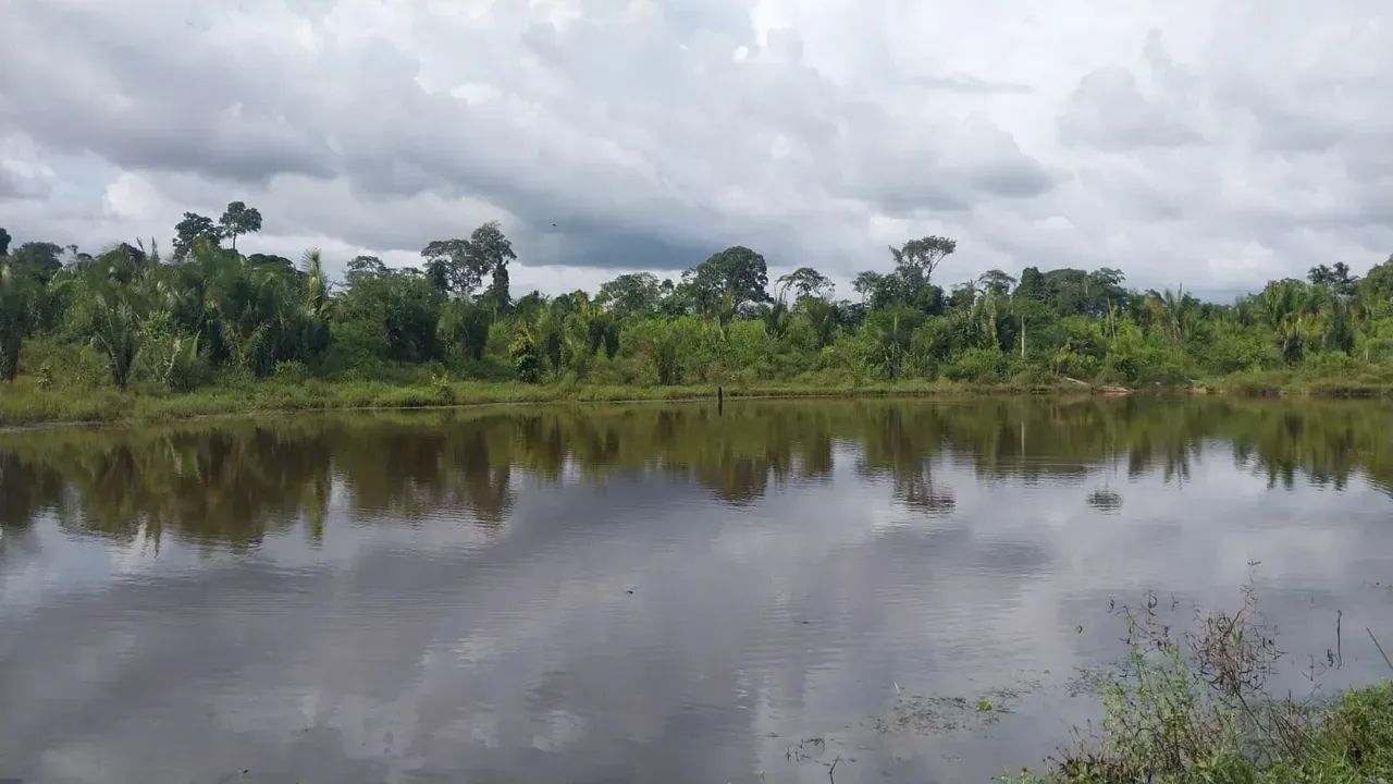 KBC-" VENDO FAZENDA 128 ALQUEIRES  RIO DENTRO  PECUÁRIA  REGIÃO MARABÁ / TRANSAMAZÔNICA - Foto 5