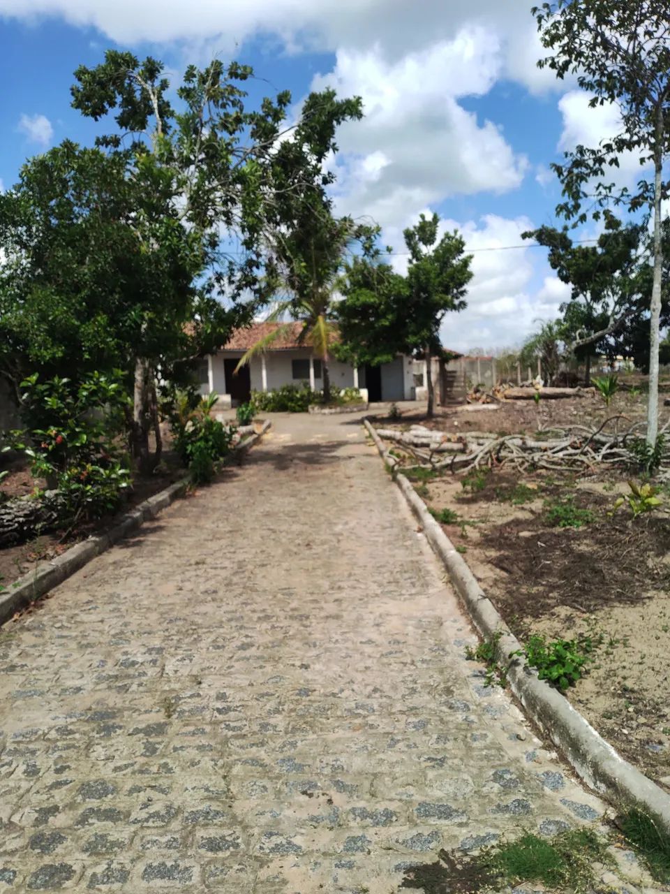 Chácara  - Foto 5