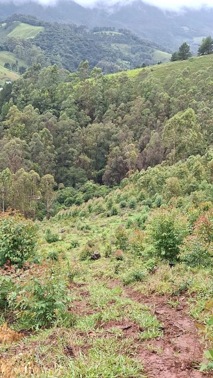 Terrenos para Chácaras, Delfim Moreira-MG - Foto 5