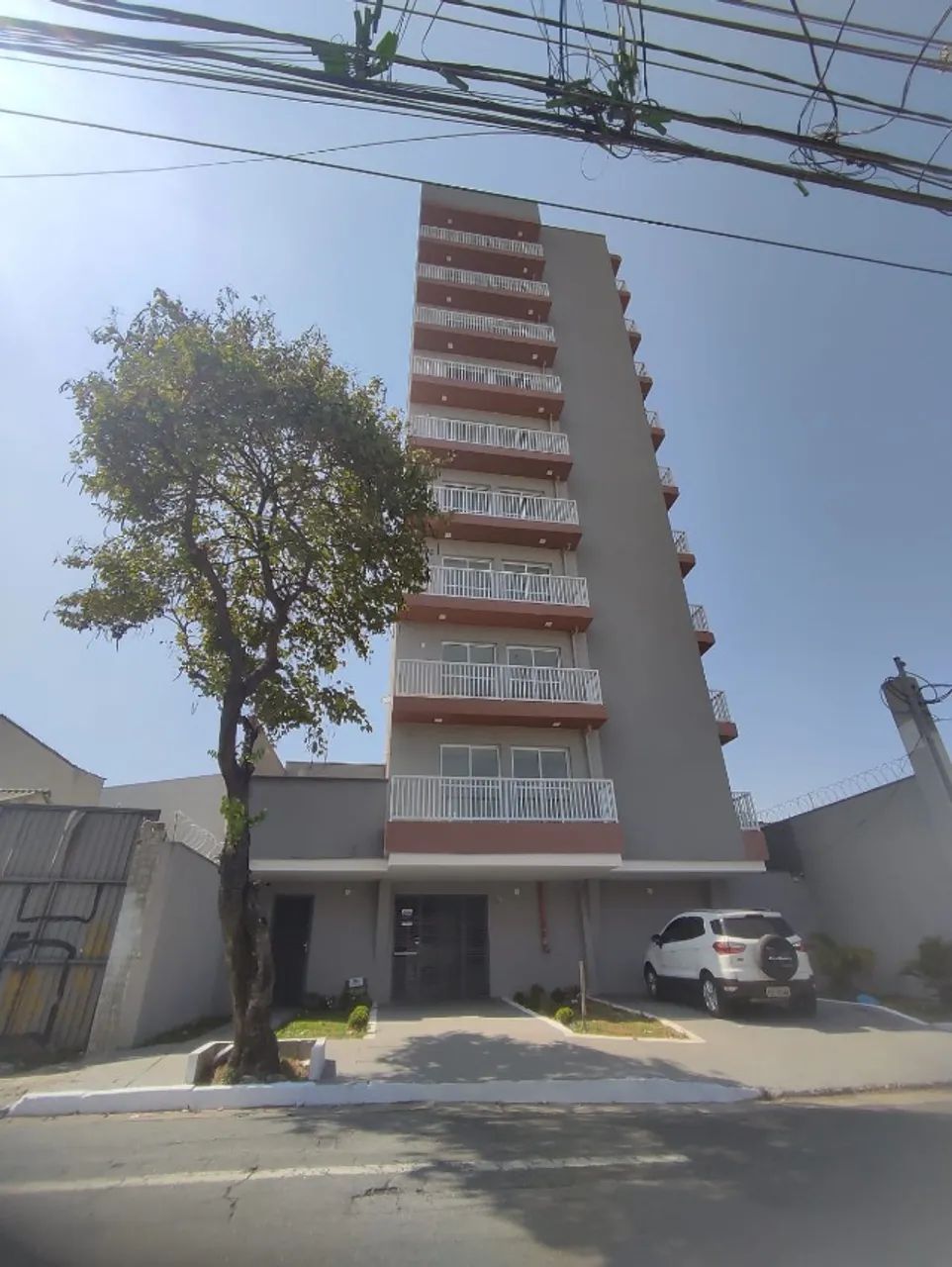 Foto - São Paulo - Quinta da Paineira