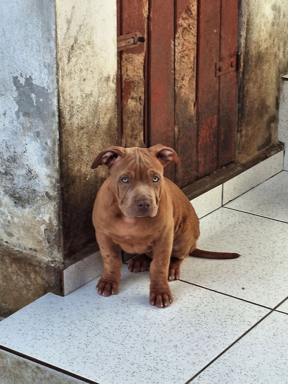 Disponível  - Foto 2