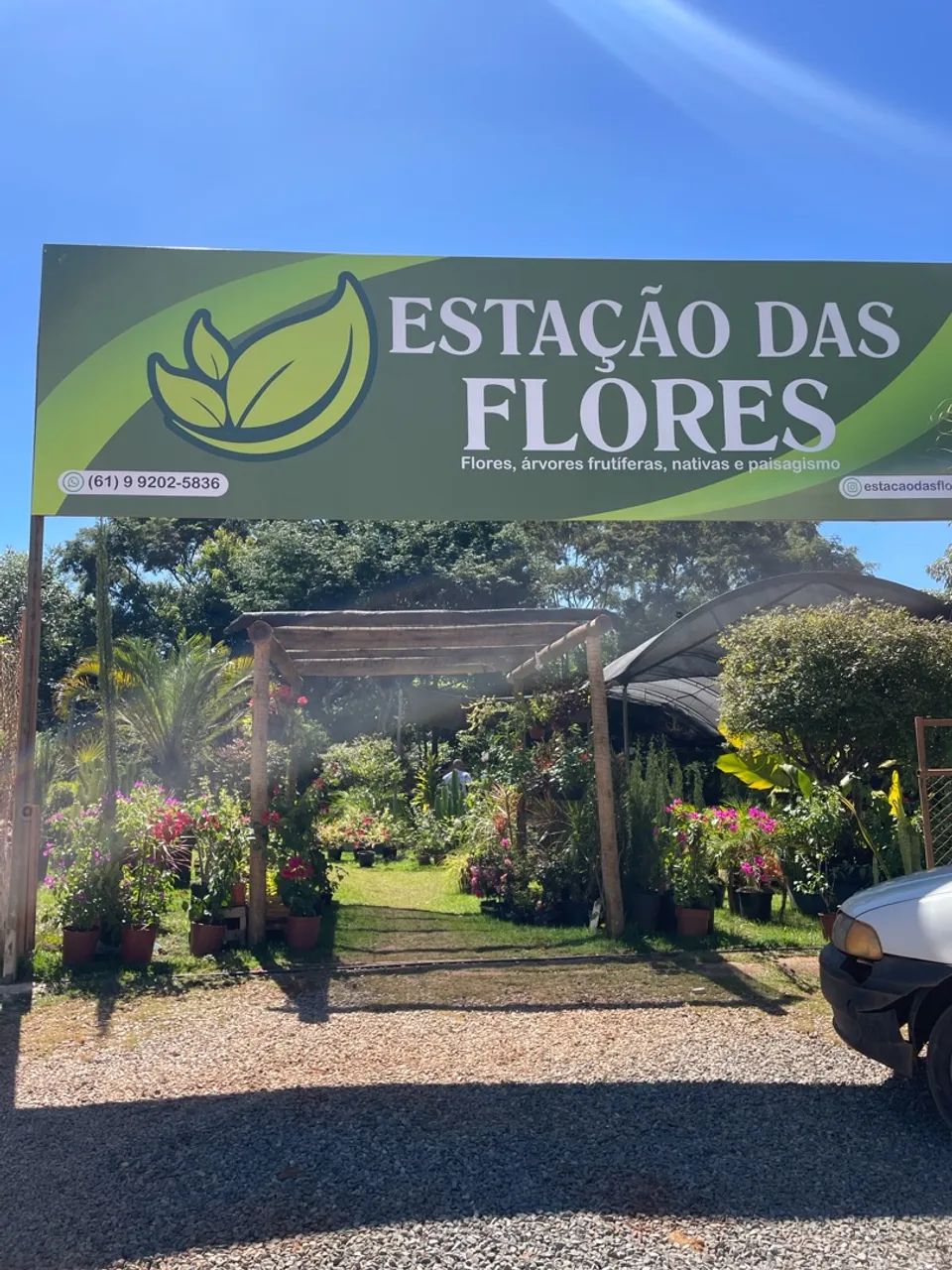 Vende-se viveiro de plantas 