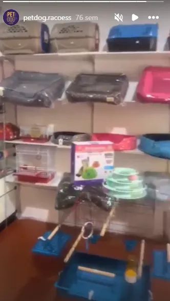 Loja Petshop Completa - Foto 5