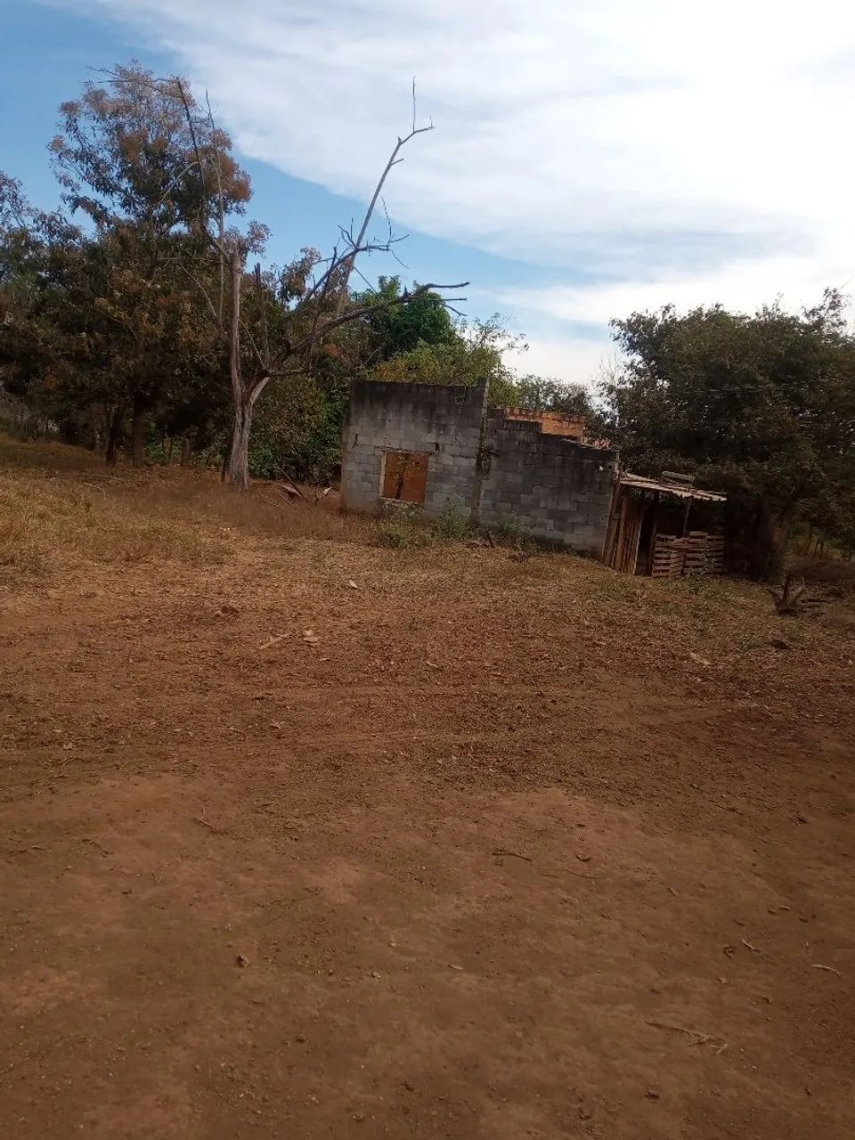 Chácara/ 13 lotes. - Foto 5