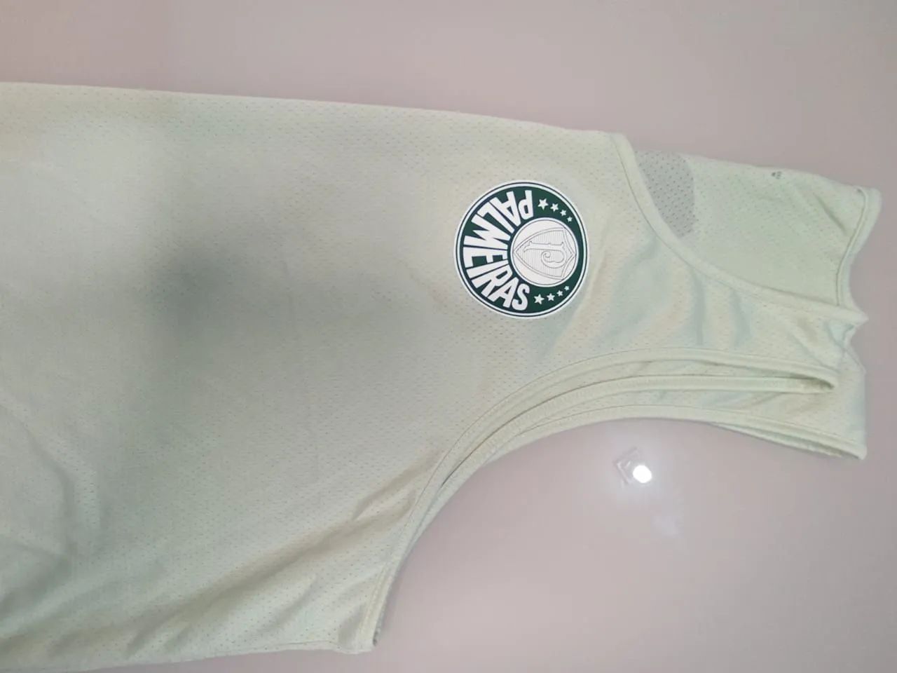 Regata Palmeiras  - Foto 2