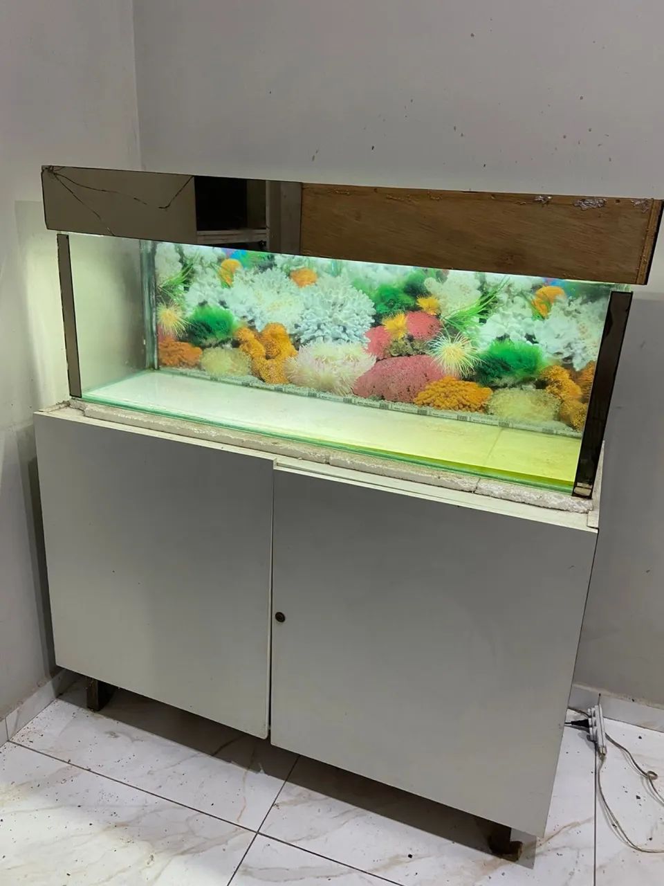 Aquario  - Foto 4
