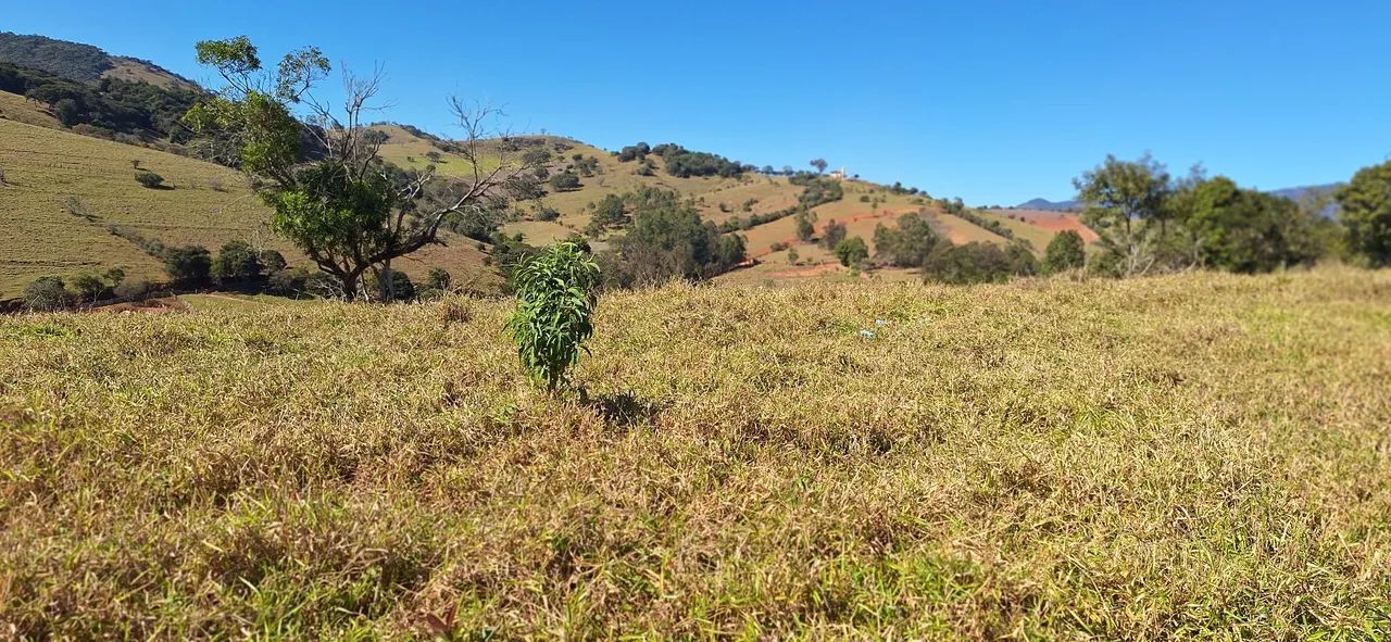 Vendo  Chacrinhas  no Sul de Minas - Foto 3