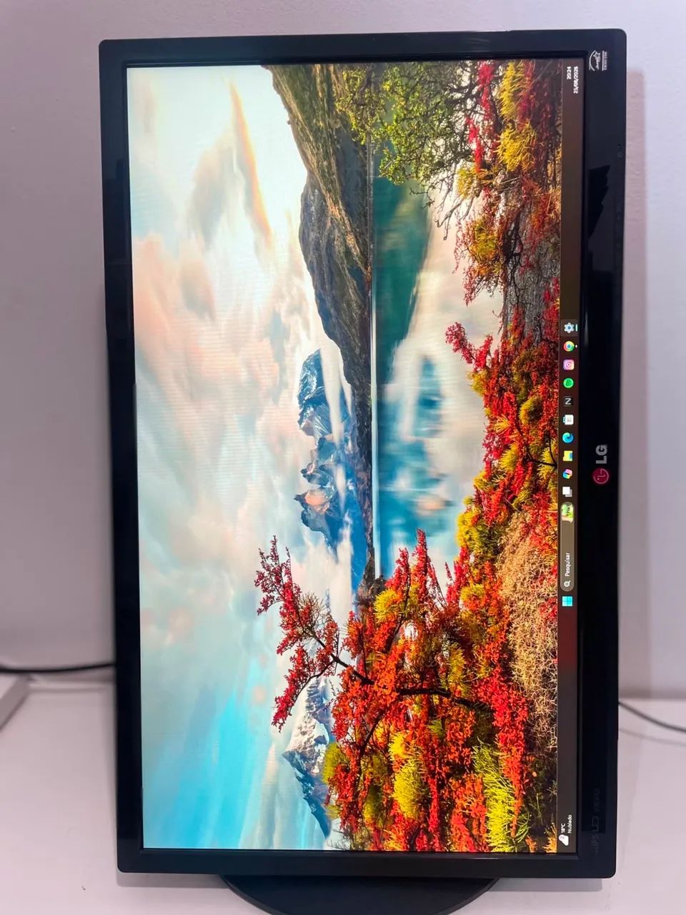Monitor LG 23 polegadas Led ips