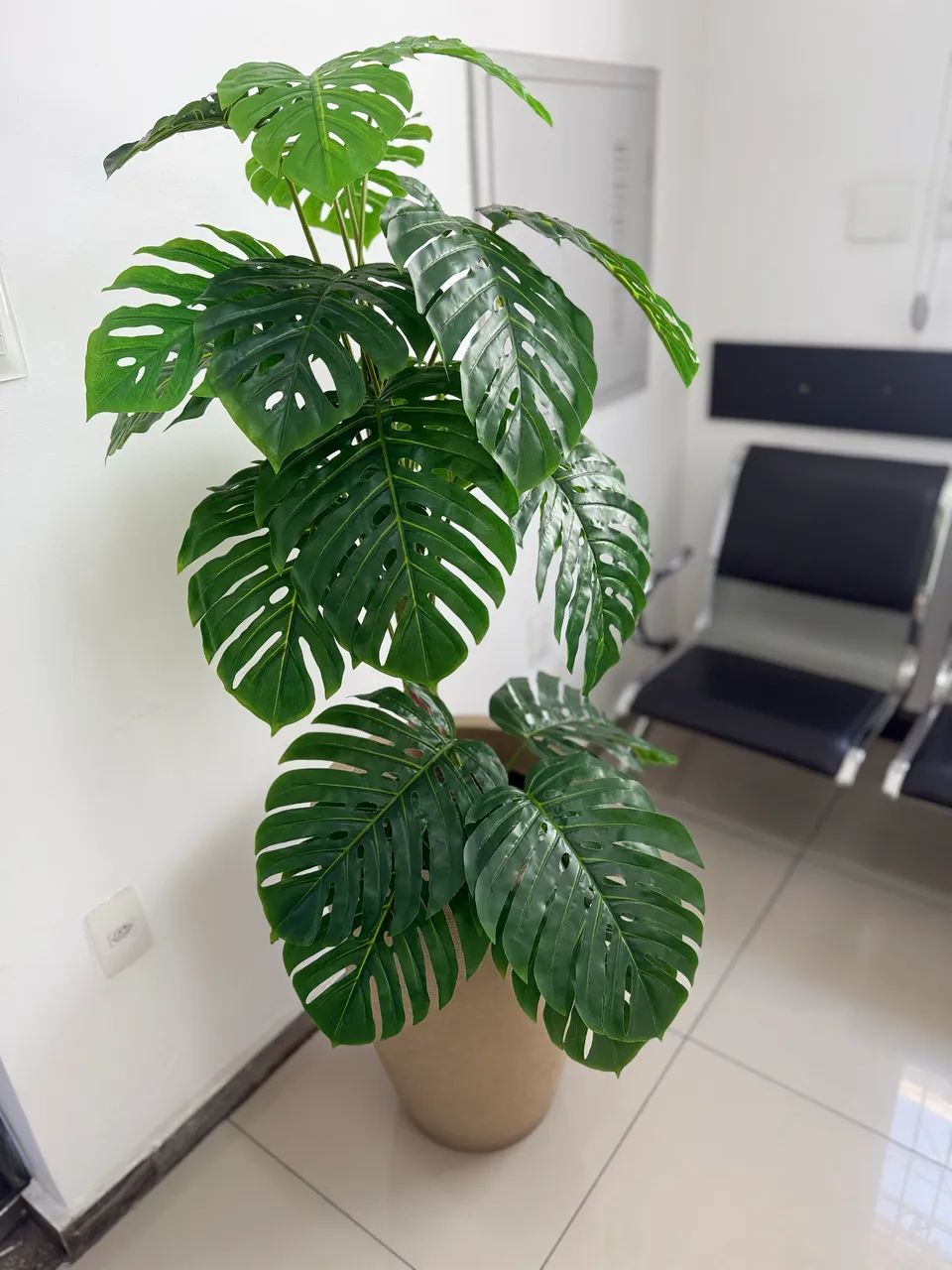 Planta decoração  - Foto 2