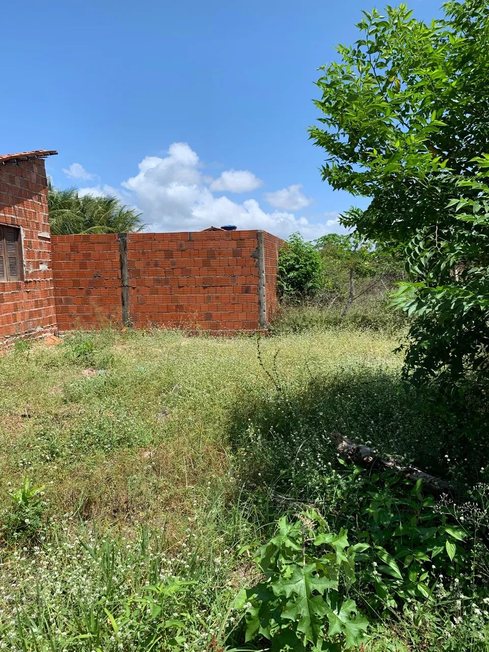 Terreno com casa em pindoretama  - Foto 3