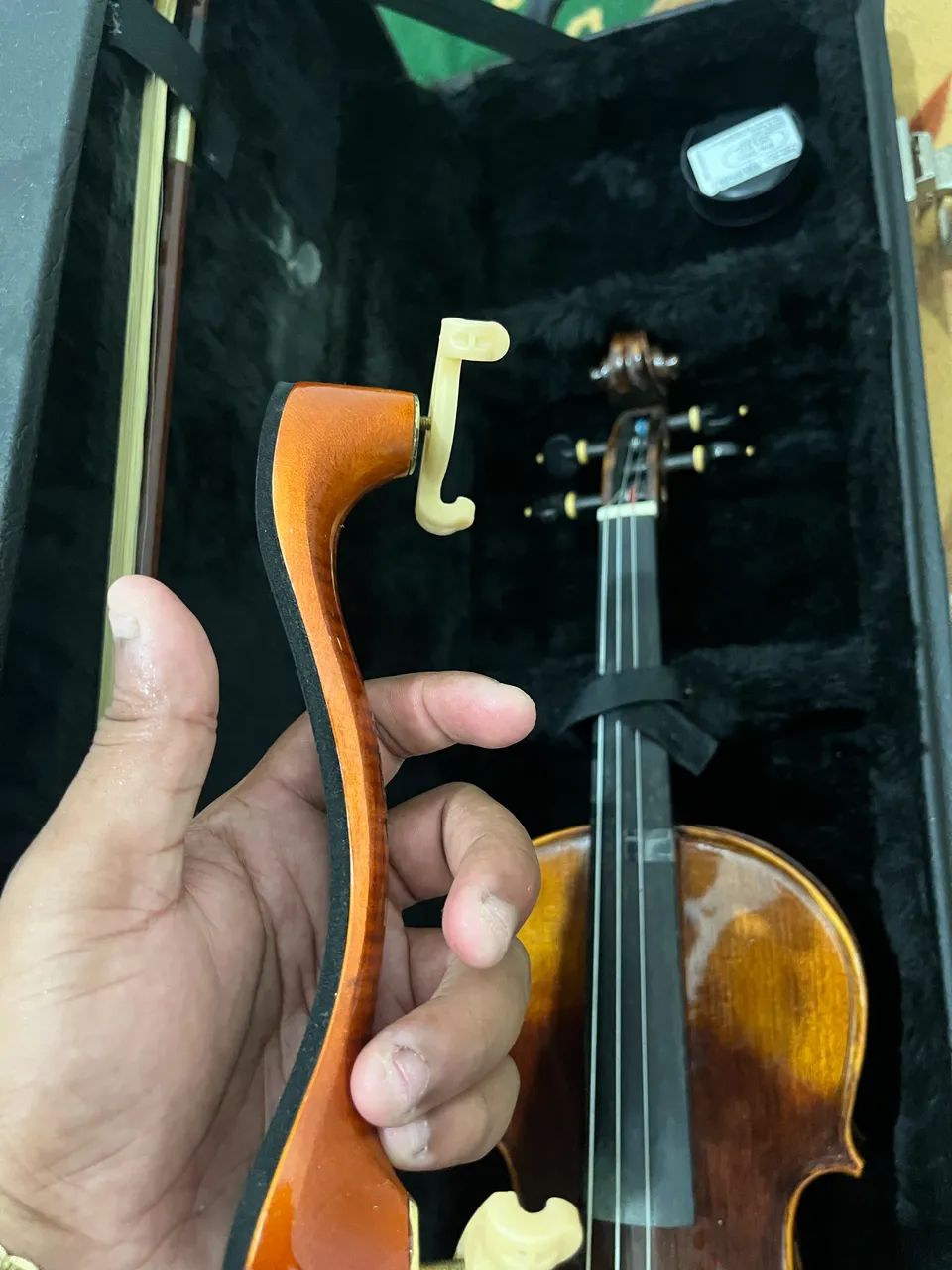 Violino