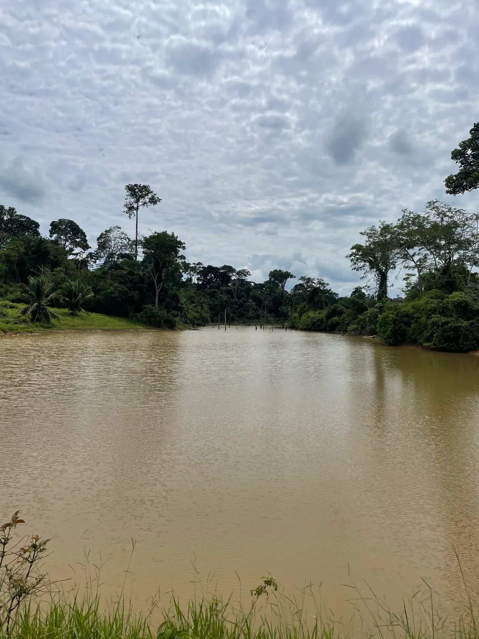 Colônia em Acrelândia  - Foto 2