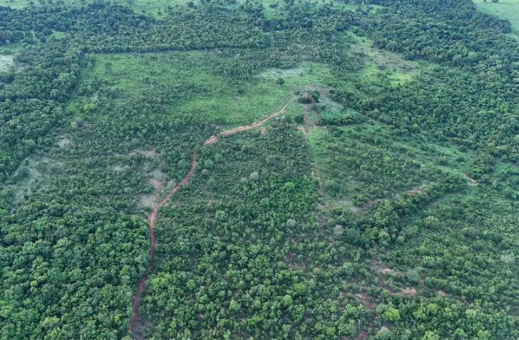 FAZENDA À VENDA - EXCELENTE OPORTUNIDADE - Foto 3