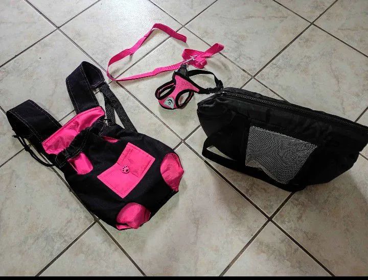 Acessórios para CADELA porte pequeno/filhote