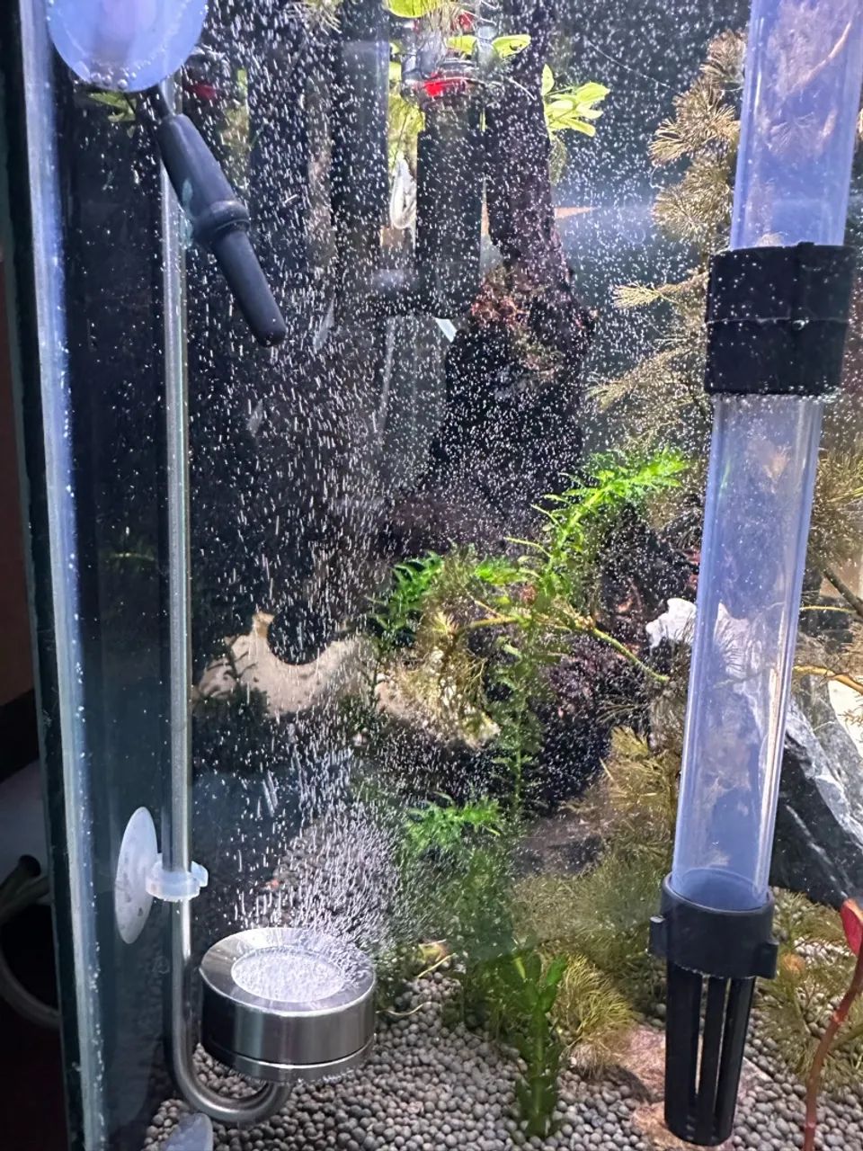 Sistema co2  - Foto 5