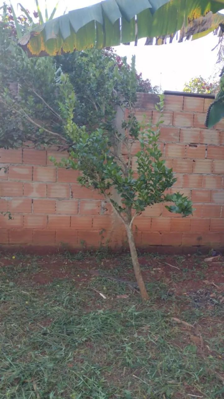 Lote barato em Juatuba  - Foto 3