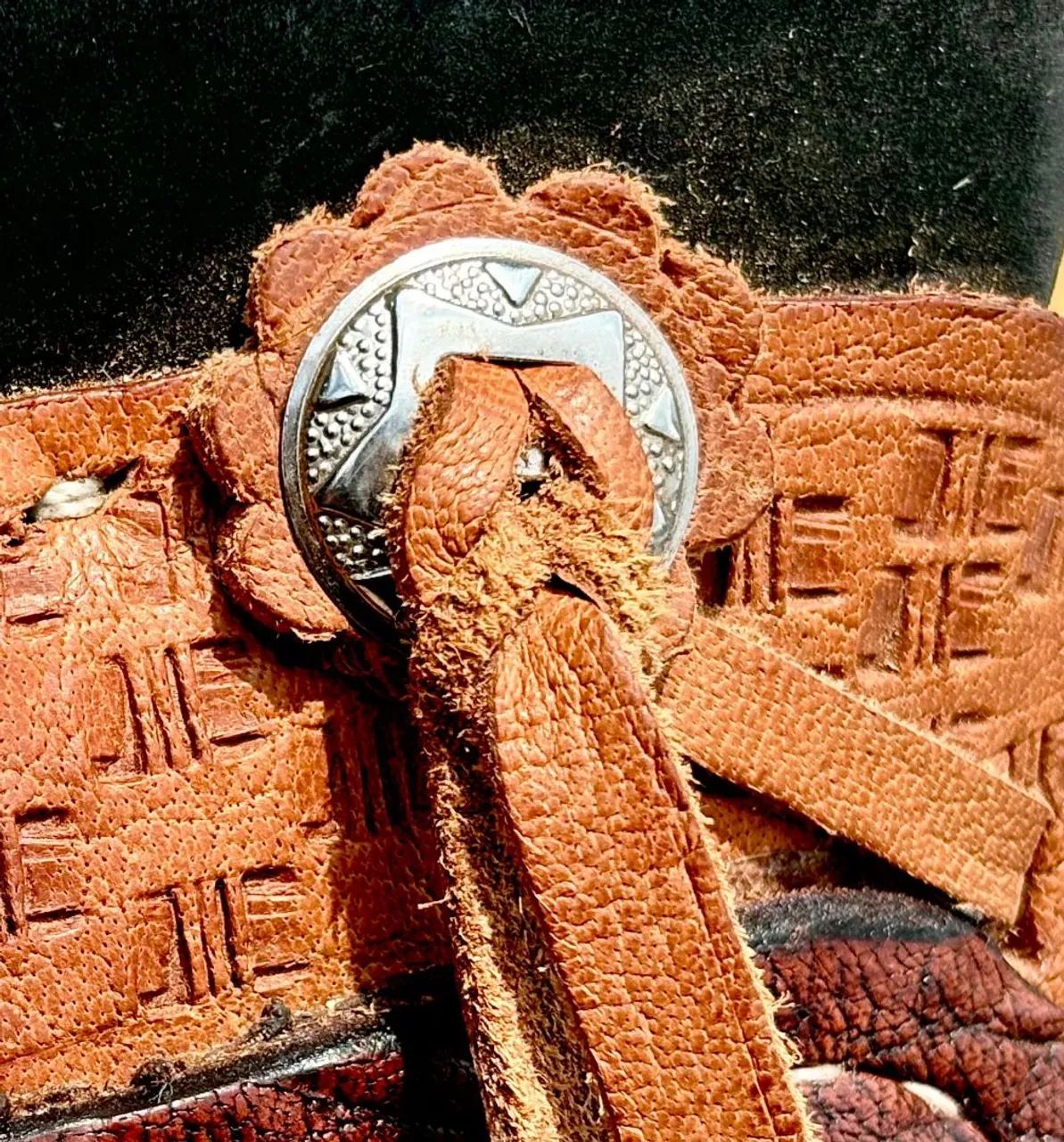 Sela americana  - Foto 3