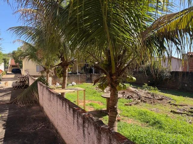 Terreno urbano 800m2 em Paranavaí - PR - Foto 4