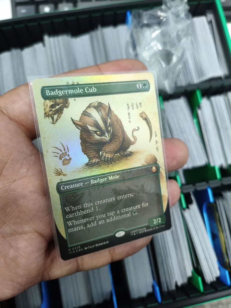Carta Magic the gathering Badgermole cub foil 