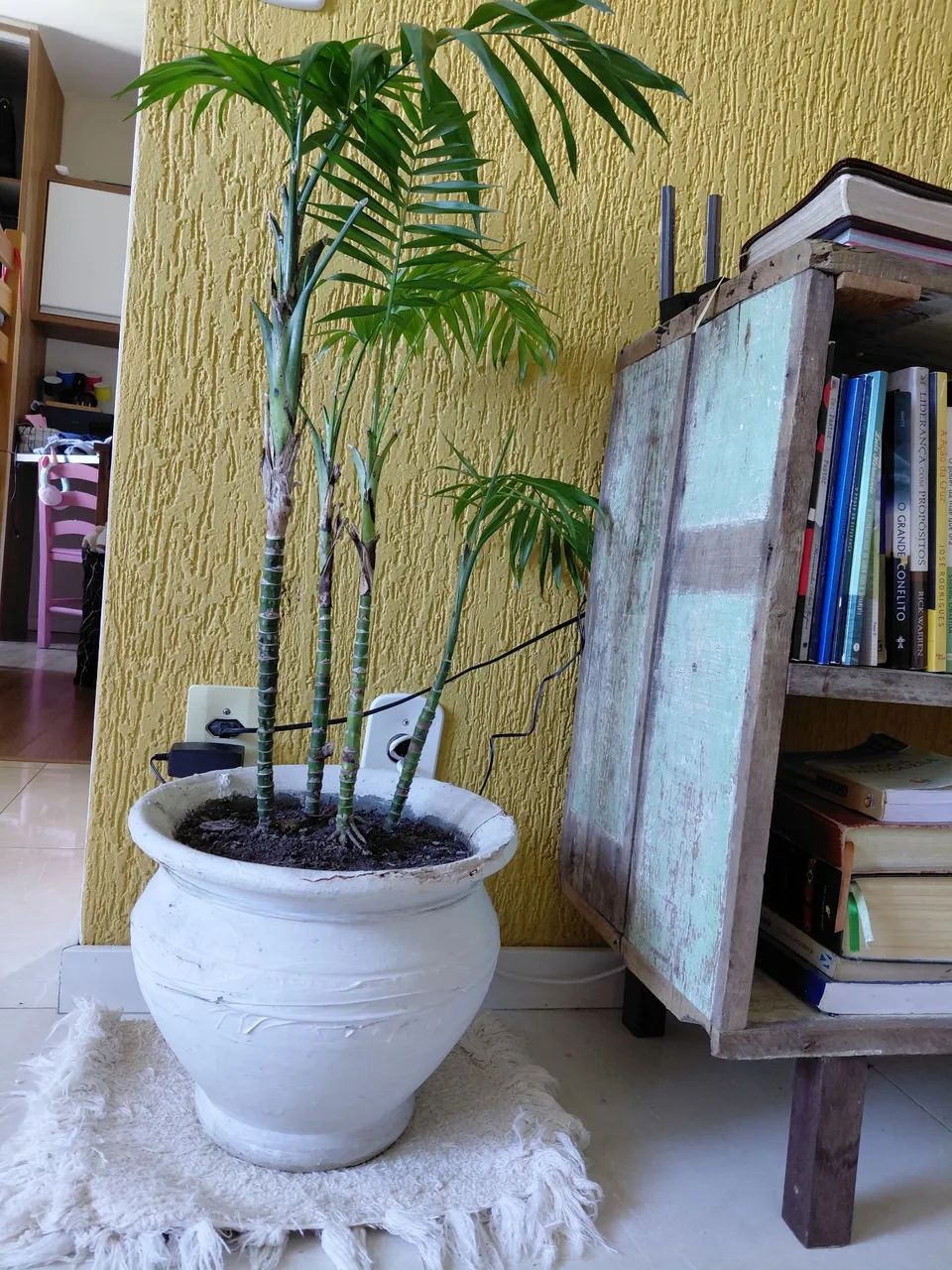 Vaso de planta  - Foto 2