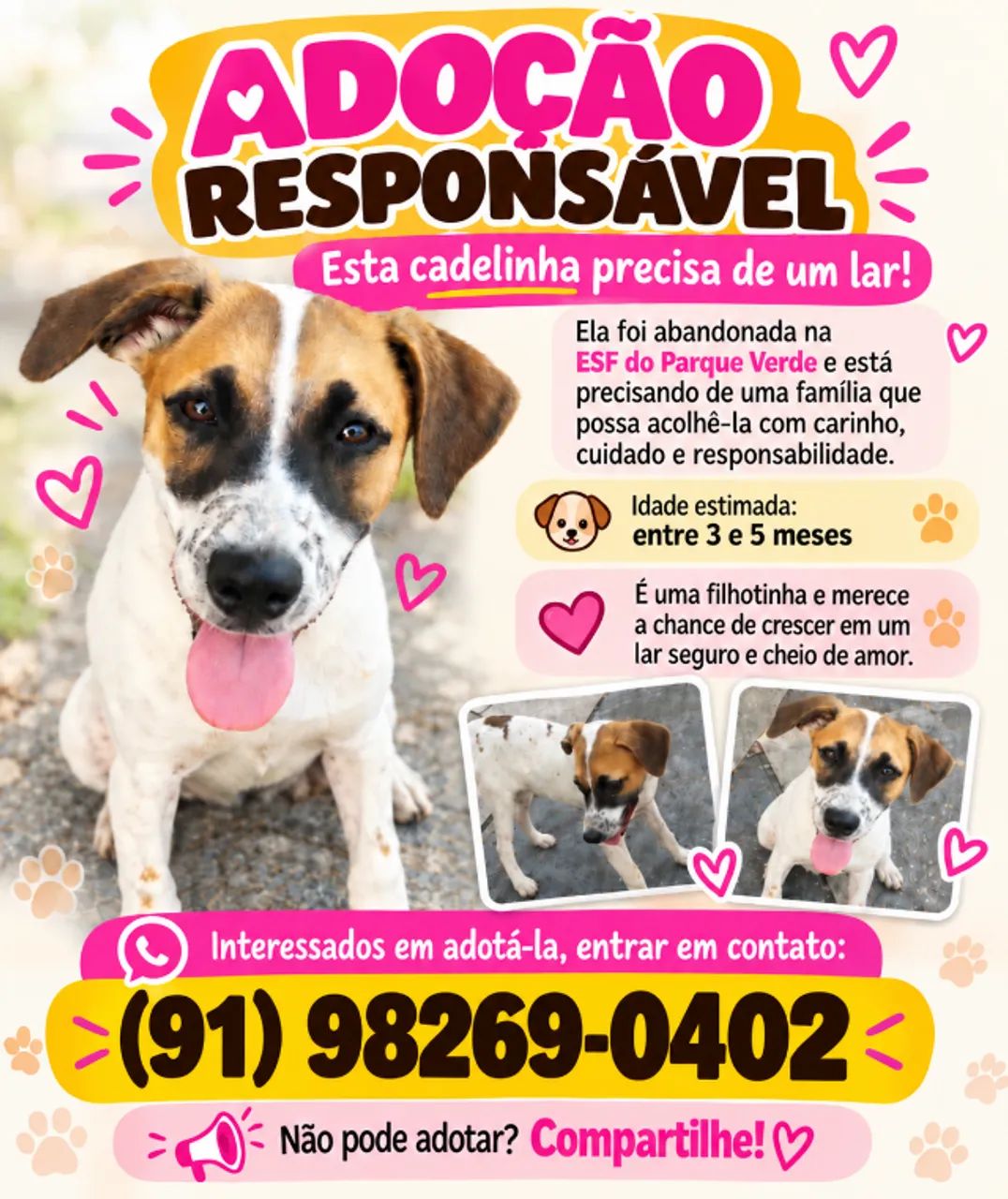 Adoção responsável