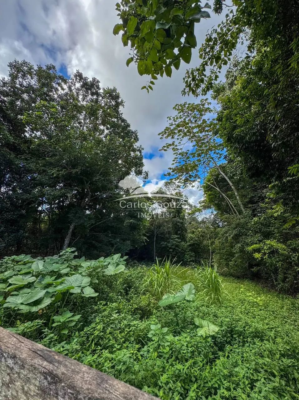 Terreno fora de condomínio Cód 344 - Foto 5