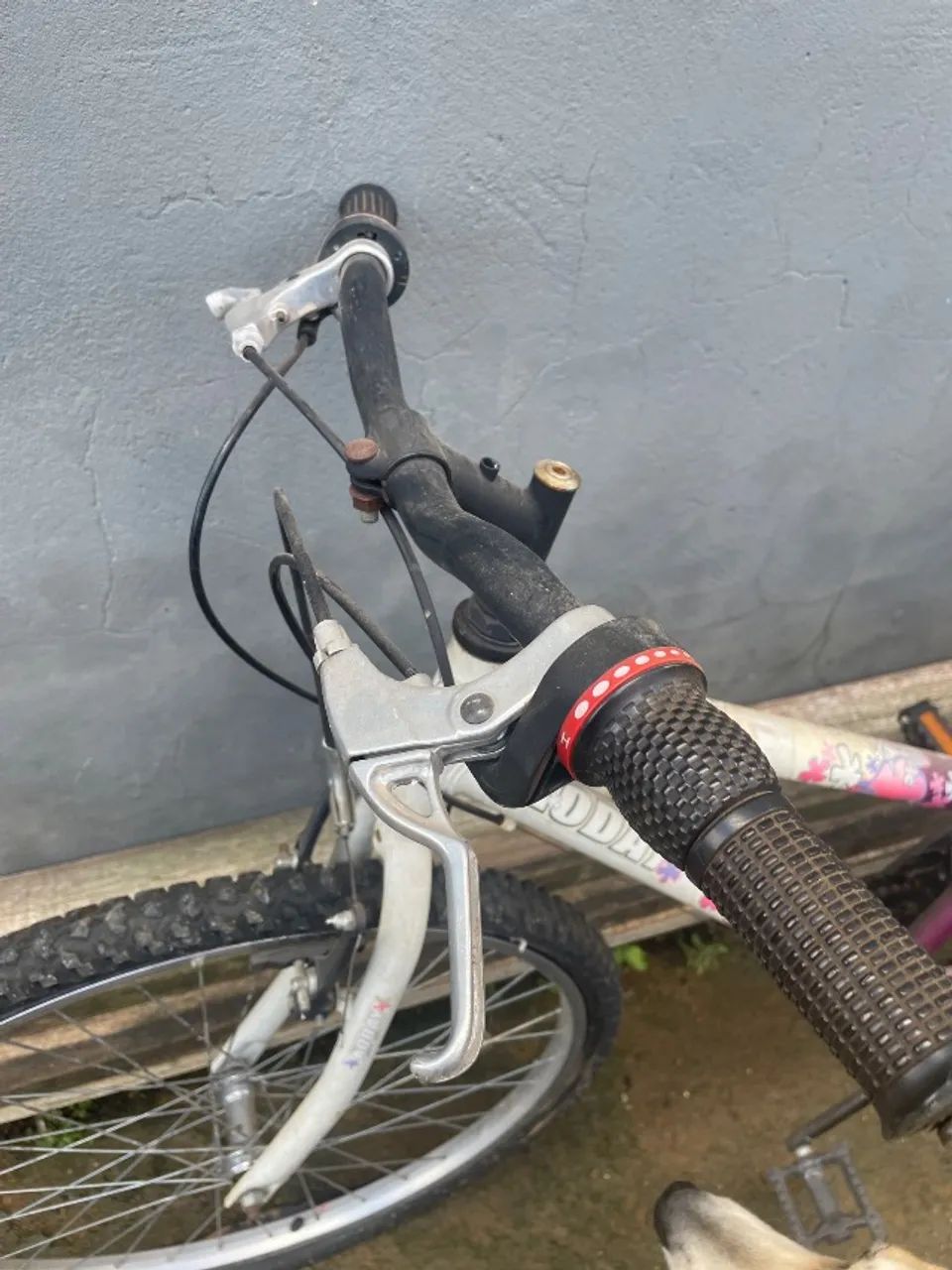 Bicicleta - Foto 3